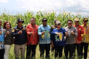 Kunjungi Food Estate Jagung, Pemprov Papua Apresiasi Percepatan yang Dilakukan Pemda Keerom