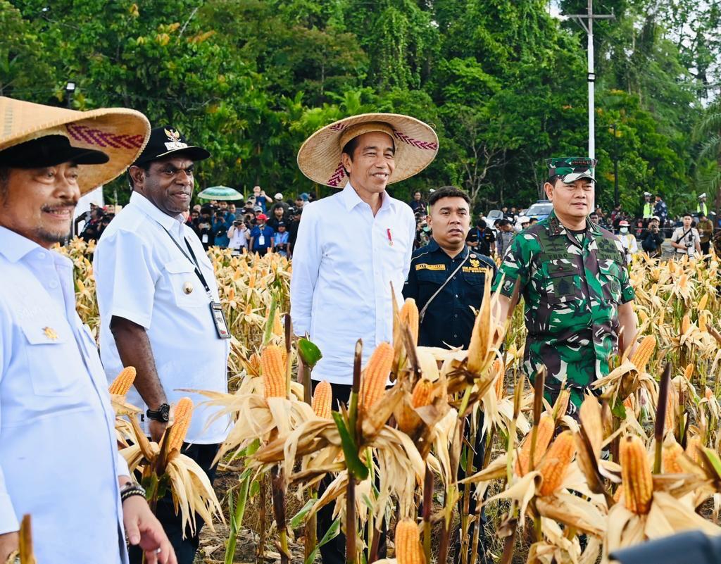 Indonesia Terbuka Untuk Kerja Sama Hilirisasi Idustri Mineral Dengan PNG