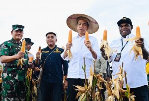 Tinjau Ladang Jagung di Keerom, Presiden Jokowi Janji Tiga Bulan Lagi Kembali