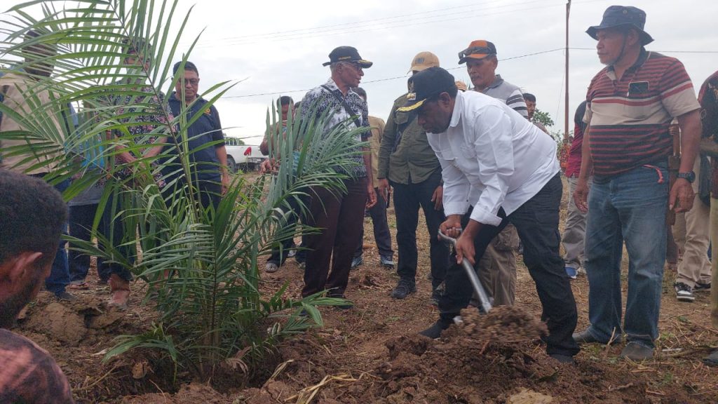 Bupati Gusbager Turun Langsung Pimpin Peremajaan Sawit di Keerom