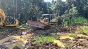 Buka Keterisolasian, Pemda Keerom Buka Jalan Terpones-Milky di Distrik Towe