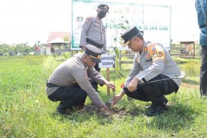 Peduli Penghijauan, Polres Keerom Melaksanakan Penanaman Pohon Serentak