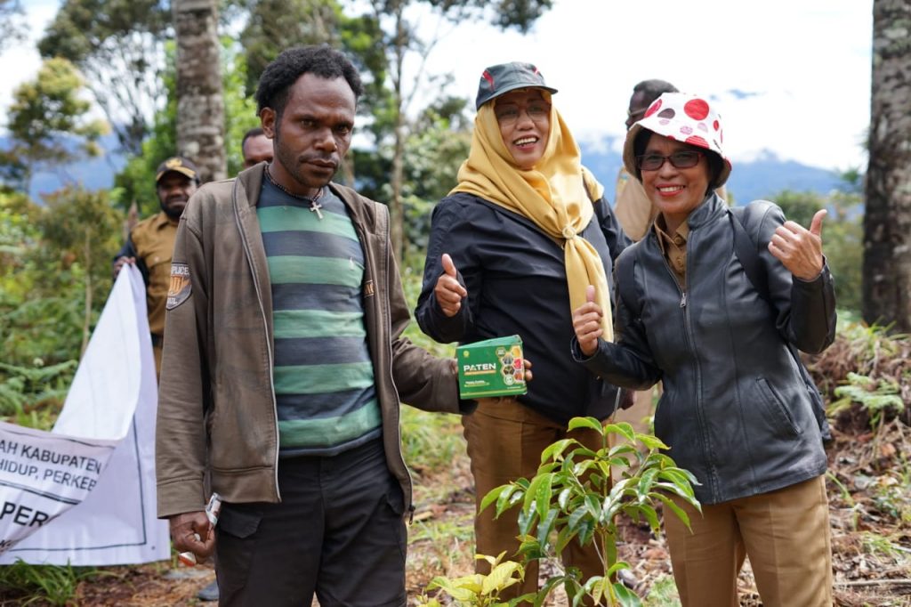 Hasilkan Kopi Terbaik Puncak Jaya, DLHPP Tinjau Kebun Kopi Arabika di Distrik Dokome