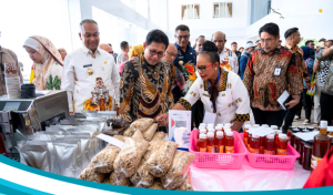 Kebut Kemajuan Daerah, Pemprov Papua Pegunungan Gelar Rakor Percepatan Daerah Tertinggal Bersama Kemedes PDTT RI