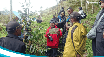 Kembangkan Perkopian , Dinas Lingkungan Hidup Puncak Jaya Lakukan Pencegahan Hama Kopi di Ditrik Dokome